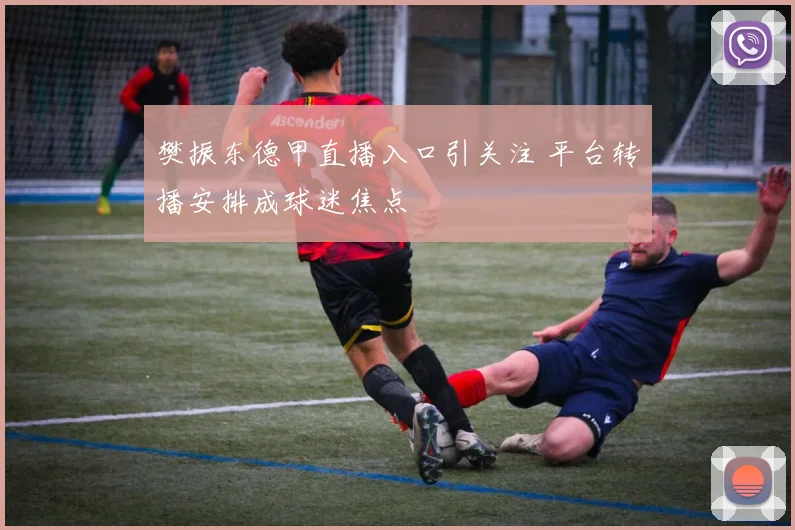 樊振东德甲直播入口引关注 平台转播安排成球迷焦点