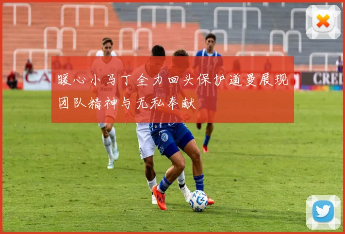 暖心小马丁全力回头保护道曼展现团队精神与无私奉献